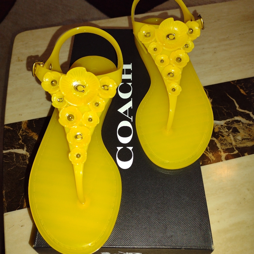 Women's Coach Sandals
